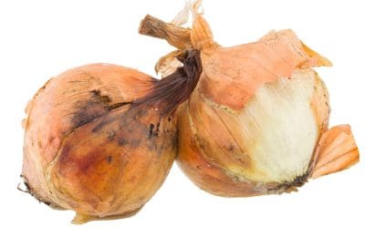 Removing Mold: The Moldy Onion