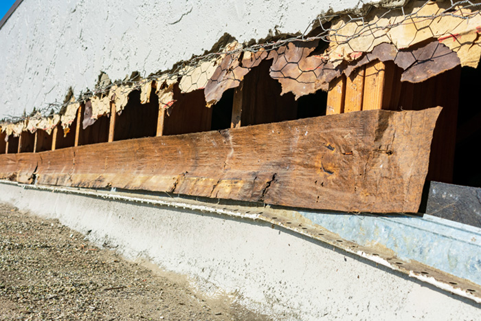 Stucco Damage