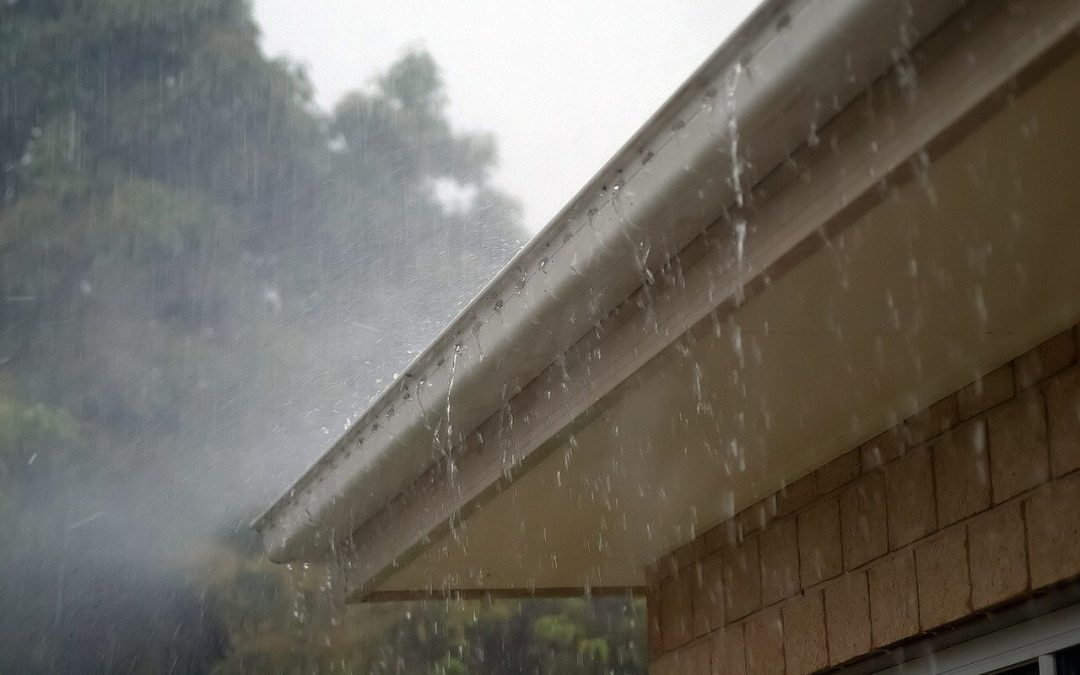 The Ultimate Guide to Cleaning Your Home’s Gutters Like a Pro